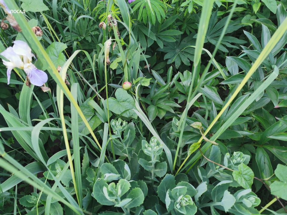 ��� ���������� �� ����� � �������� ��� ������� �����