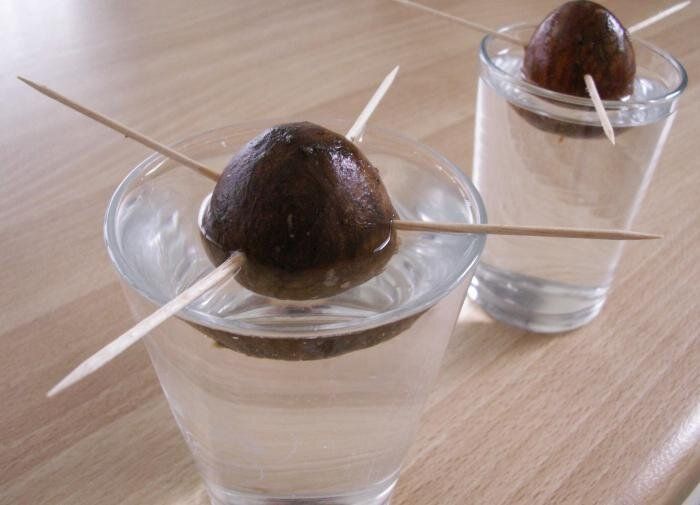 ��� ��������� ������� ����