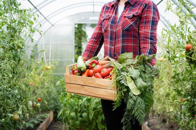 ��� �������� ��������� �����: ������� ��� ������� ������������