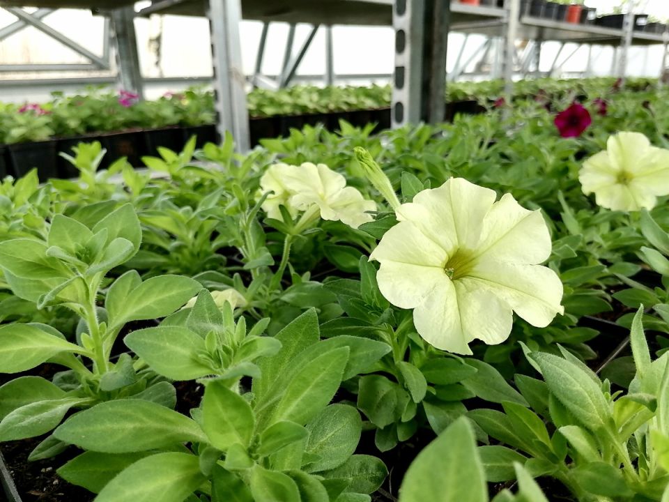 ��� �������� �������� ������� ����� ������� ������ ����� ������� � ����������