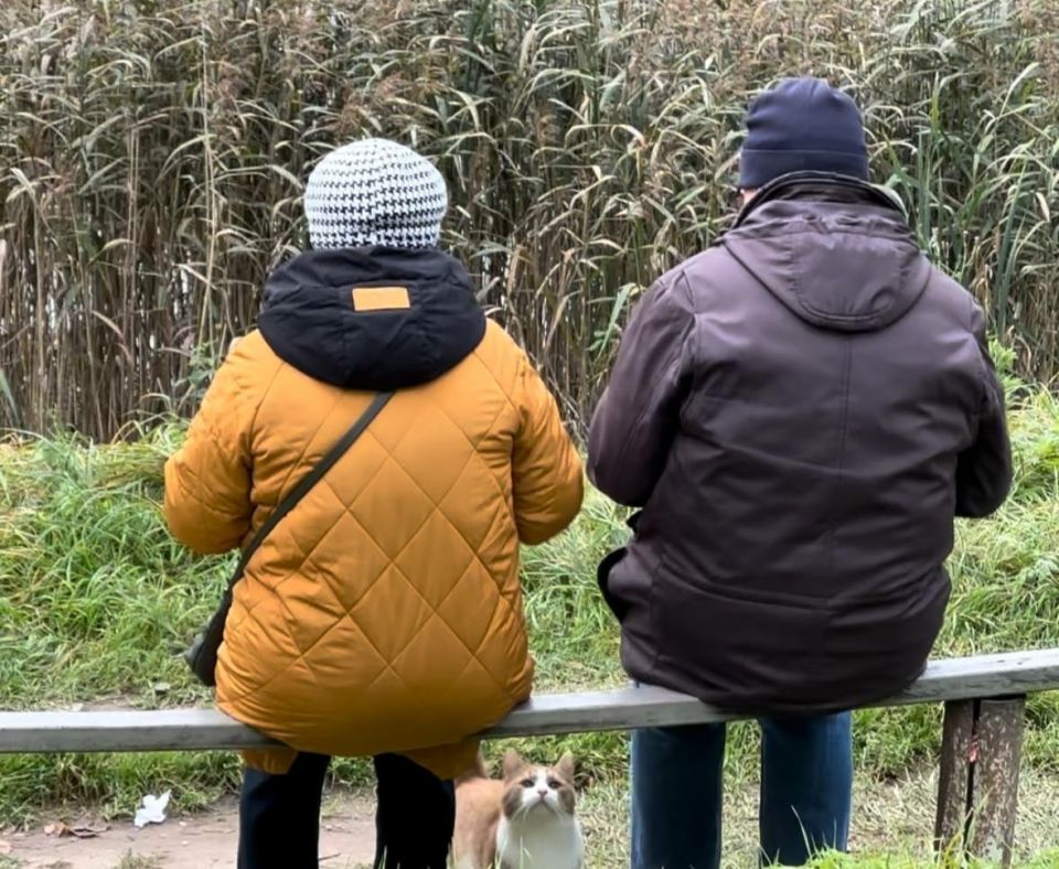 �������� ����� � �����: ��� ����� �� ������ �������������� ��� �����������