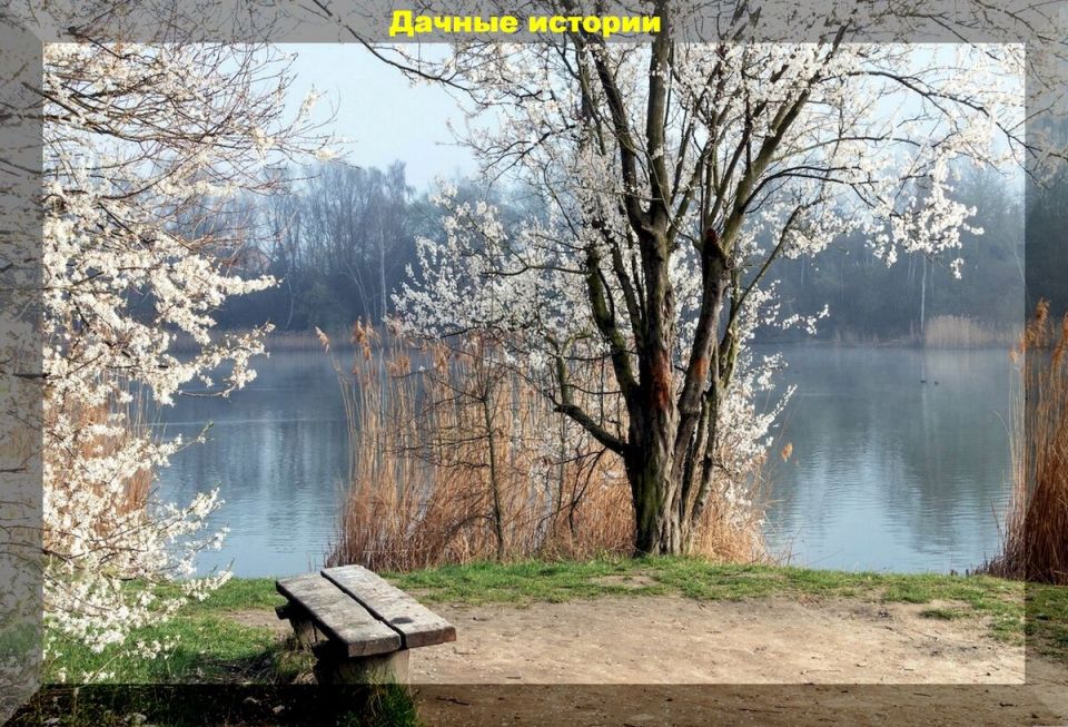 Март: Назад к природе - всё о весеннем уходе за садом и посевах