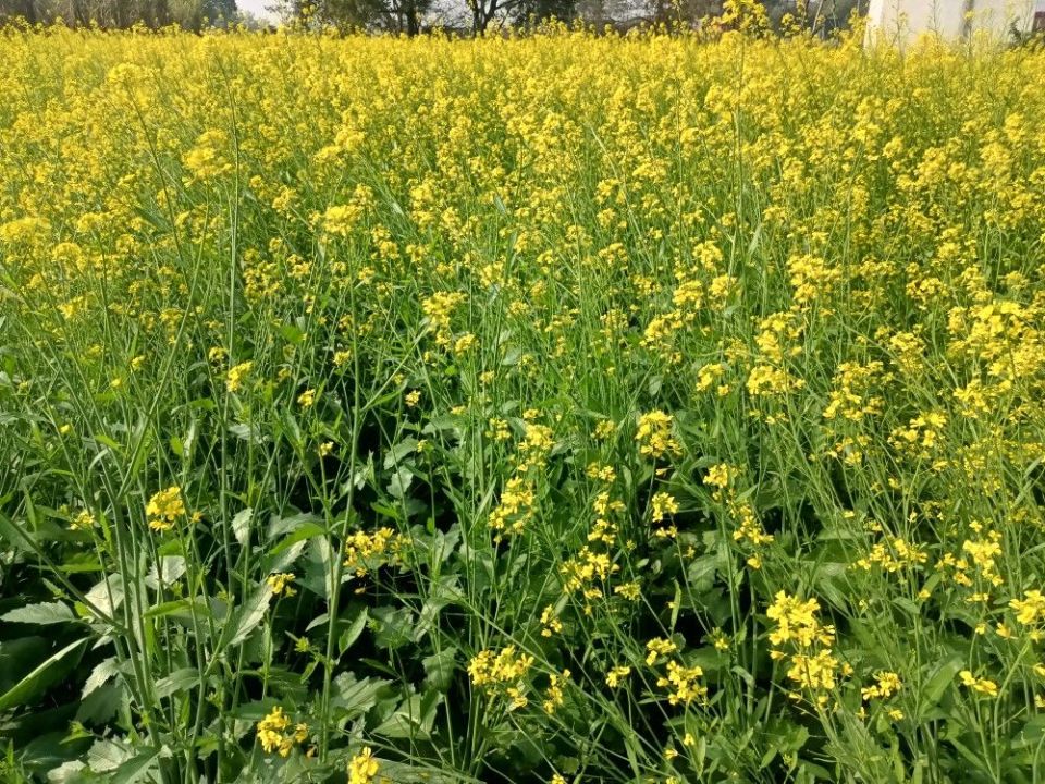 ���� � ���������: ������������ ����� ������ ������ �������