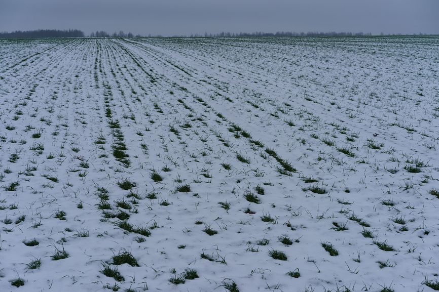 ��� �������� ���� � �������: ������ ����� ��� ��������� ������