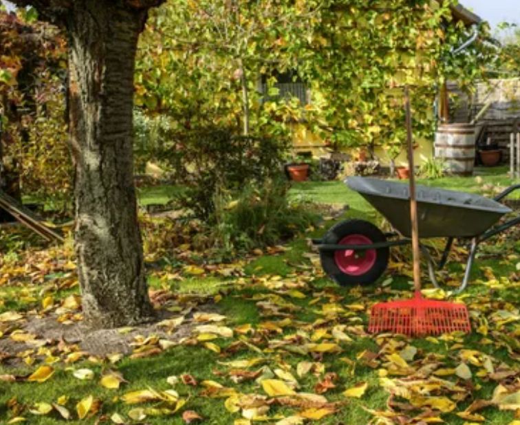 ������ ������� ���� �����: ��� �������� ������� � ����������